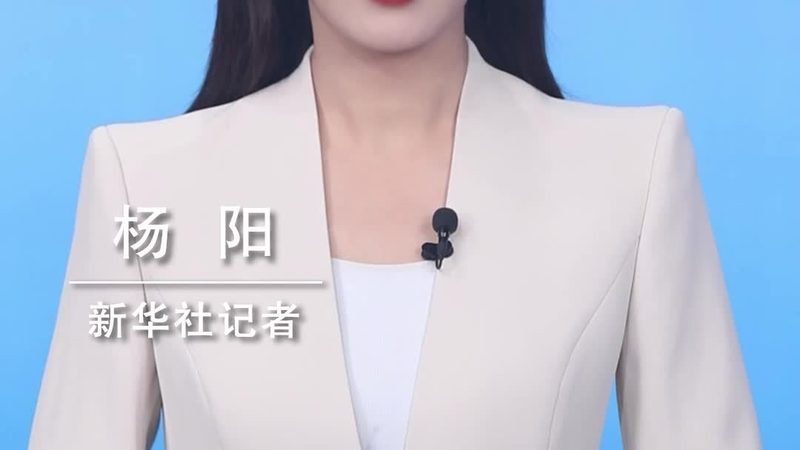 数据治理体系搭建：迈向高效数据管理的关键步骤**